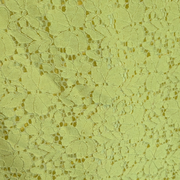Ann Taylor Yellow Lace Pencil Skirt - Picture 5 of 6